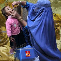 Two New Polio Cases Confirmed in South Khyber Pakhtunkhwa, Total for 2025 Reaches 26