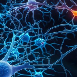 United States dementia cases estimated to double by 2060