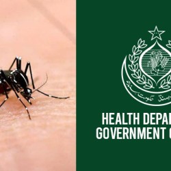 Sindh health department reports 1,558 new dengue cases in 24 hours