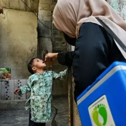 Special polio campaign launched in 20 Sindh districts, Karachi booster drive resumes