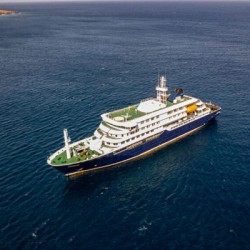 Suspected hantavirus cases on cruise ship under global monitoring, WHO says no cause for panic