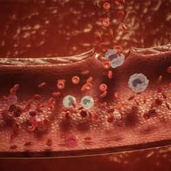 Faris’ Fight for Life: How a Rural Infant Survived a Hidden Danger with Swift Medical Intervention