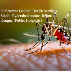 Dengue cases continue to rise across Sindh, Karachi and Hyderabad remain most affected