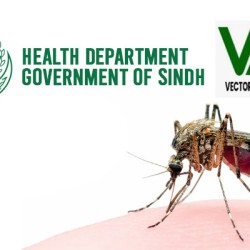 Dengue cases cross 9,600 in Sindh — Hyderabad division remains worst hit