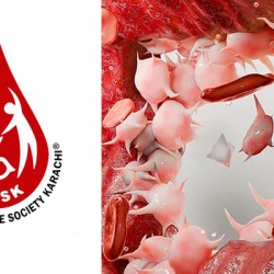 Civil Hospital Sanghar MS Visits HWSK, Praises Hemophilia Care Model