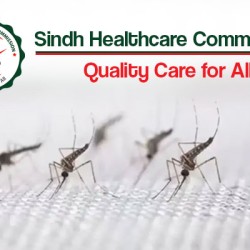 Sindh Healthcare Commission reduces prices of dengue, malaria, and CBC tests amid rising cases