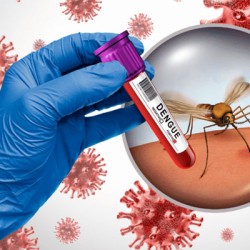 Sindh strengthens province-wide dengue prevention and control drive