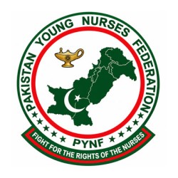 Young Nurses Federation Raises Concerns Over PNMC Governance and College Accreditation Process