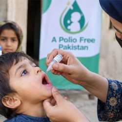 Over 23.9 Million Children to Be Vaccinated in Sub-National Polio Campaign from November 2