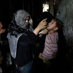 New Polio Case Confirmed in Bannu, KP as Pakistan's 2025 Tally Rises to 12