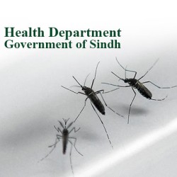 559 Dengue Cases Confirmed Across Sindh — No Deaths Reported, Health Dept Issues Daily Update
