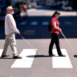 White Cane Safety Day to be observed on october 14 in Karachi
