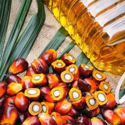 Palm Oil: A Strategic Commodity for Pakistan’s Food Security, Nutrition, and Sustainable Growth