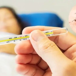 155 dengue patients hospitalized across Sindh in 24 hours