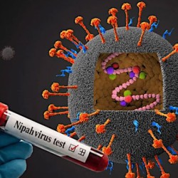 Bangladesh Reports Fatal Nipah Virus Case, Authorities Launch Emergency Response Measures