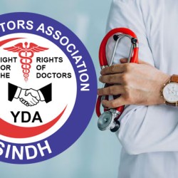 YDA PUMHS Announces New Cabinet Members to Strengthen Organizational Affairs