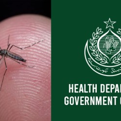 Sindh health department issues updated dengue report — 1,186 positive cases detected in 24 hours