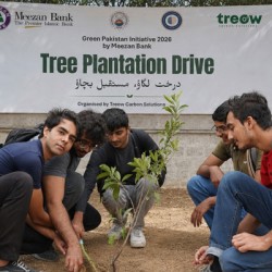 NED University Students Plant Trees, Pledge Long-Term Care Until Graduation