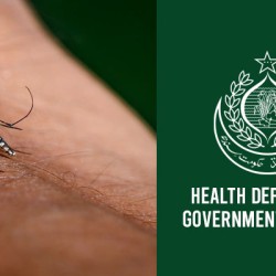 PMA urges the government to act decisively on Sindh’s worsening dengue and health crisis