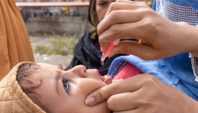 Nationwide MR-OPV vaccination drive to protect over 36 million children begins november 17