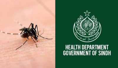 Sindh health department reports 1,558 new dengue cases in 24 hours