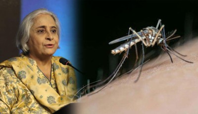 276 Dengue cases reported in Sindh this month, health department issues fresh report