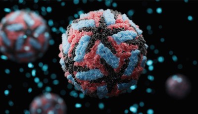 CDC Issues Ongoing Dengue Risk Advisory for South Asia Including Pakistan