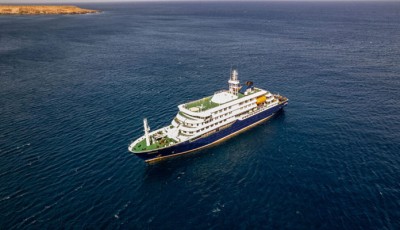 Suspected hantavirus cases on cruise ship under global monitoring, WHO says no cause for panic