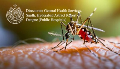 Dengue cases continue to rise across Sindh, Karachi and Hyderabad remain most affected
