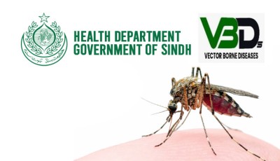 Dengue cases cross 9,600 in Sindh — Hyderabad division remains worst hit