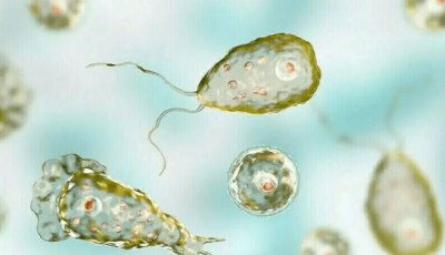 Karachi Reports Fifth Naegleria Death of 2025