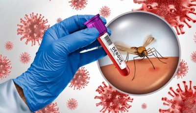 Sindh strengthens province-wide dengue prevention and control drive