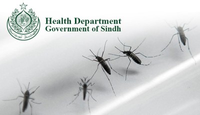 559 Dengue Cases Confirmed Across Sindh — No Deaths Reported, Health Dept Issues Daily Update