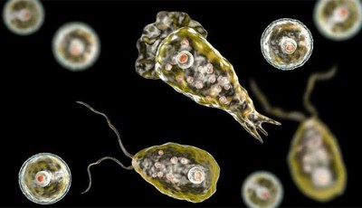 Karachi Reports Fourth Naegleria Death in 2025 — 17-Year-Old Student from District Central Succumbs