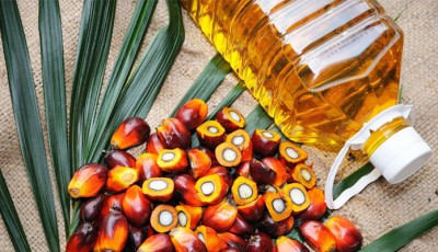 Palm Oil: A Strategic Commodity for Pakistan’s Food Security, Nutrition, and Sustainable Growth