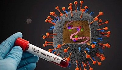 Bangladesh Reports Fatal Nipah Virus Case, Authorities Launch Emergency Response Measures