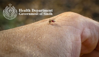 Sindh Records 49 Dengue Admissions in 24 Hours, Laboratory Positivity Reaches 170 Cases