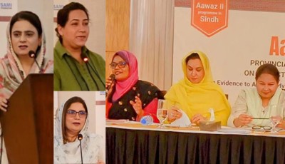 Domestic Violence Law Implementation in Focus at Sindh Policy Dialogue