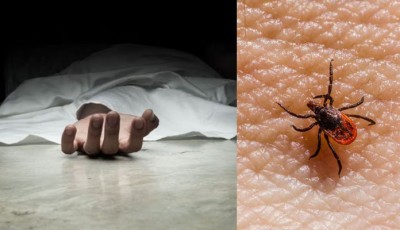 Second Death from Congo Virus Reported in Sindh