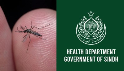 Sindh health department issues updated dengue report — 1,186 positive cases detected in 24 hours