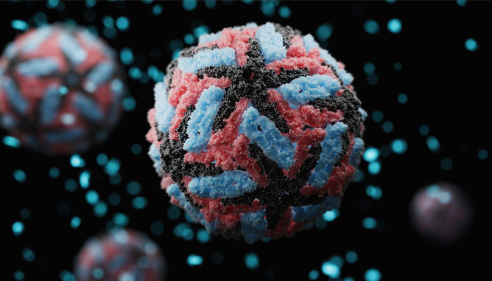 CDC Issues Ongoing Dengue Risk Advisory for South Asia Including Pakistan