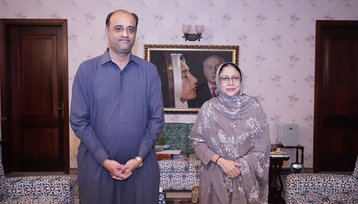 Deputy Mayor Meets Faryal Talpur on Karachi Projects