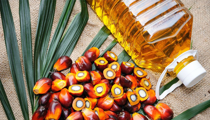 Palm Oil: A Strategic Commodity for Pakistan’s Food Security, Nutrition, and Sustainable Growth