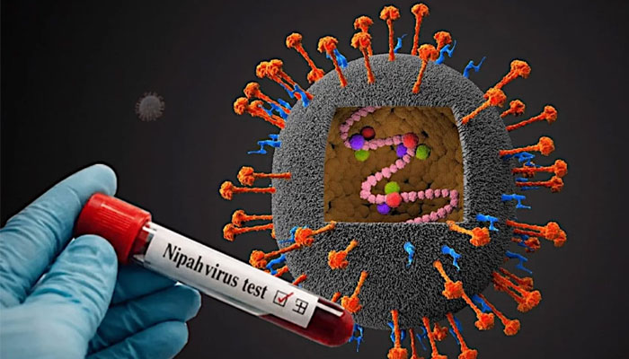 Bangladesh Reports Fatal Nipah Virus Case, Authorities Launch Emergency Response Measures