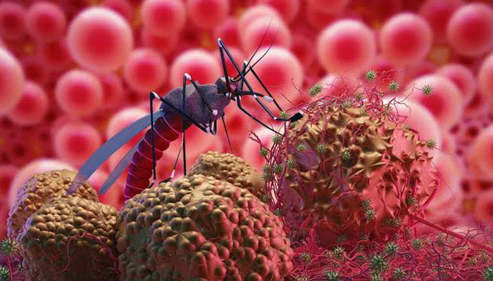 Sindh Reports 117,016 Malaria Cases in 2026, No Deaths Recorded