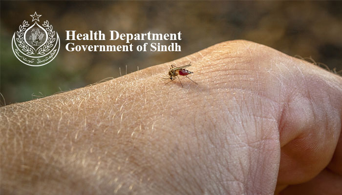 Sindh Records 49 Dengue Admissions in 24 Hours, Laboratory Positivity Reaches 170 Cases