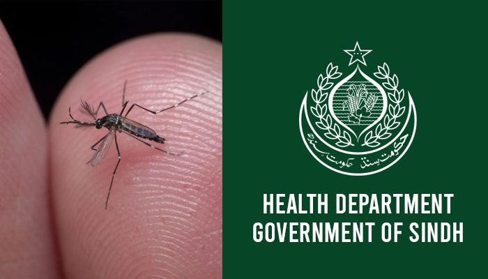 Sindh health department issues updated dengue report — 1,186 positive cases detected in 24 hours